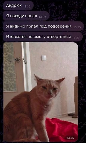 Андрюх Я походу попал Я видимо попал под подозрения И кажется не смогу отвертеться