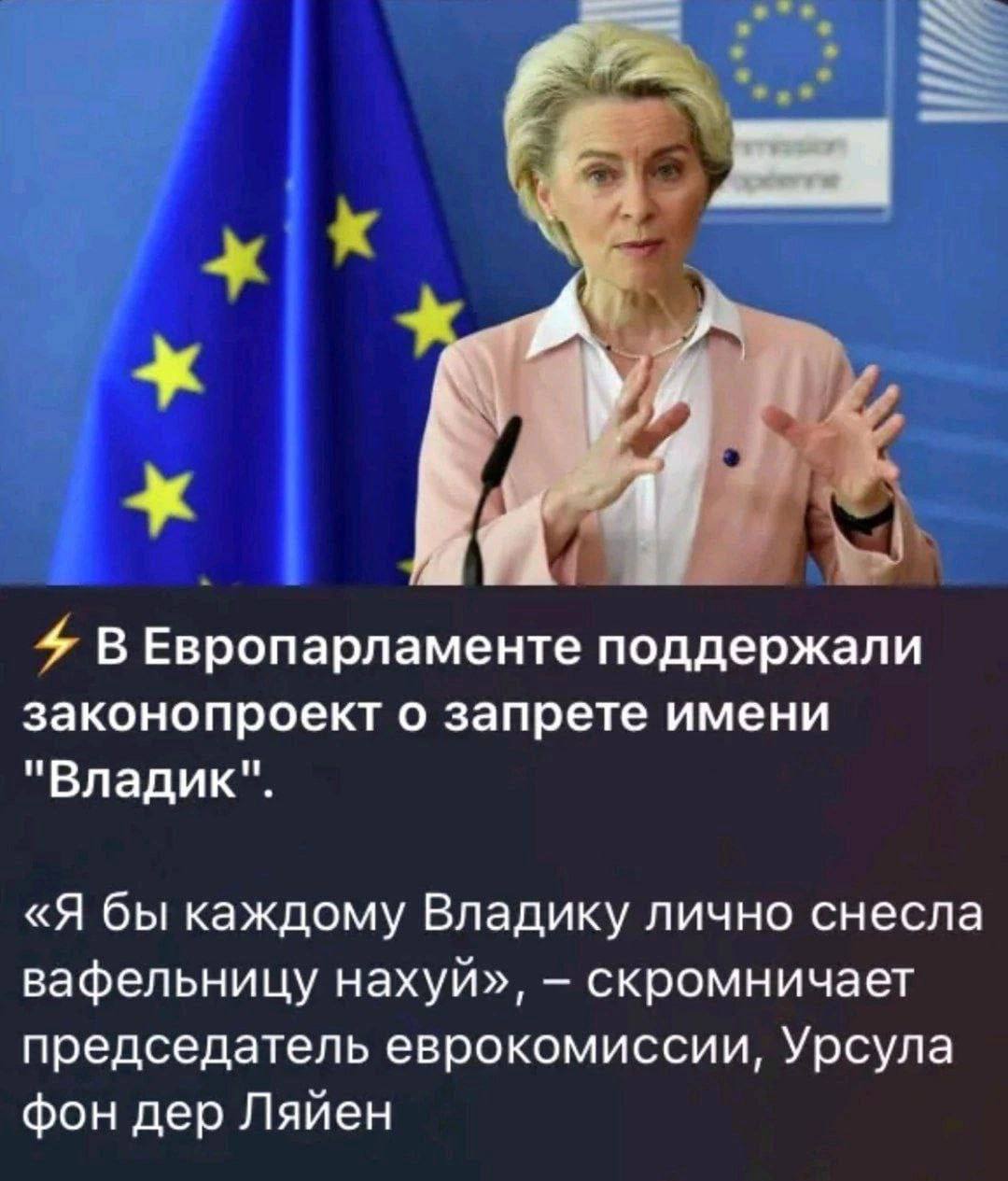 В Европарламенте поддержали законопроект о запрете имени "Владик". «Я бы каждому Владику лично снесла вафельницу нахуй», скромничает председатель еврокомиссии, Урсула фон дер Ляйен