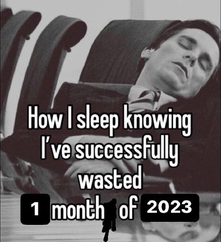 How sleep knowing successfully wasted 1 month of 2023