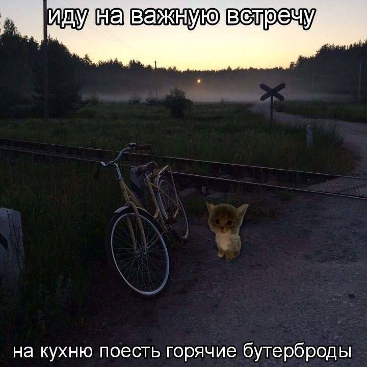 на кухню поесть горячие бутерброды