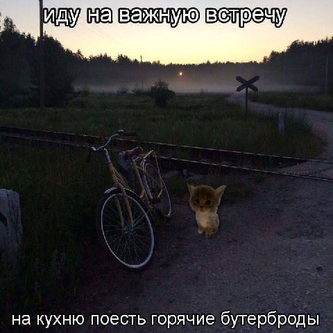 на кухню поесть горячие бутерброды