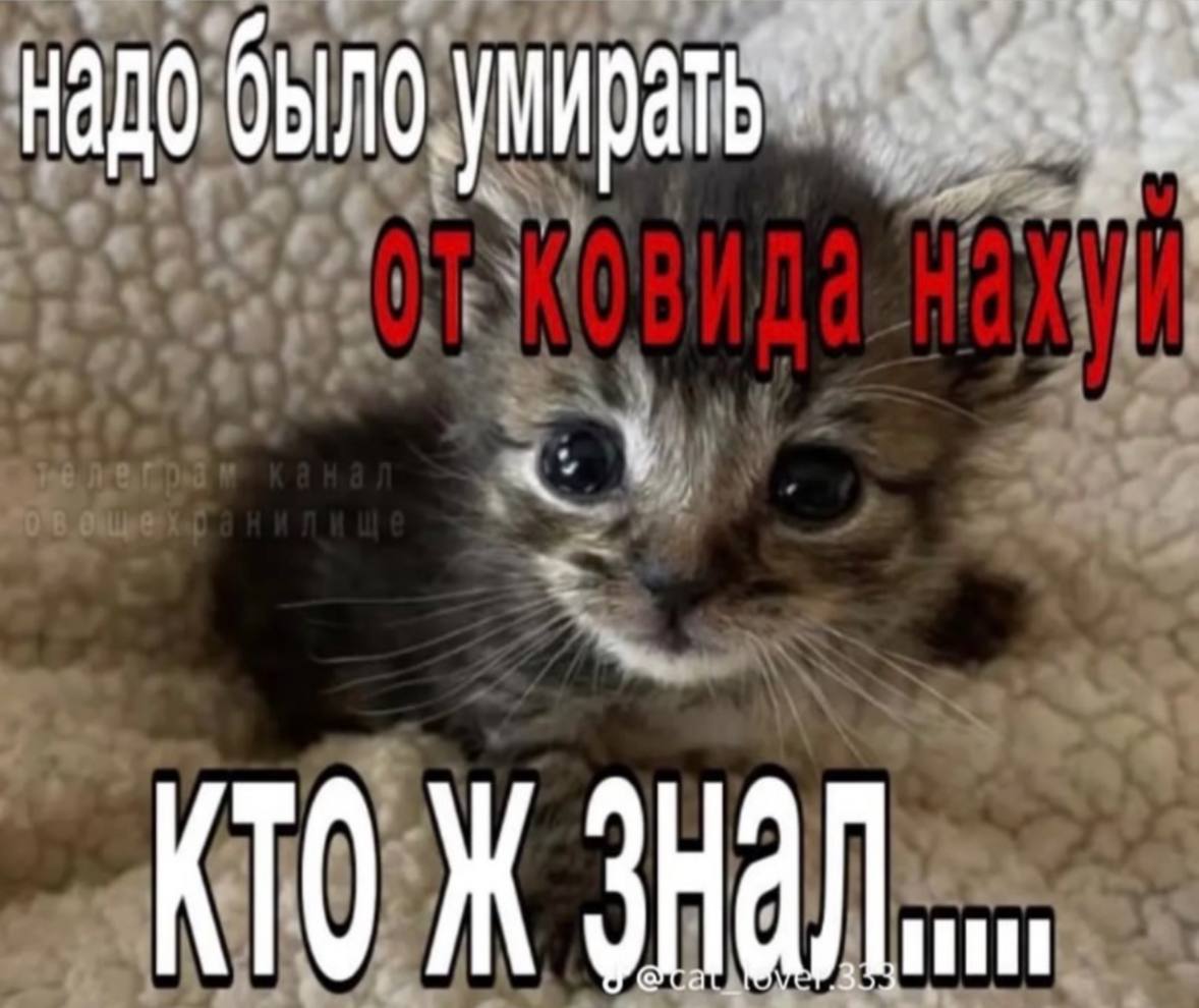 надо было умирать КТО