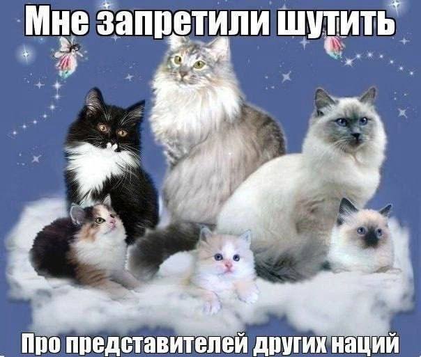 Мне запретили шутить Про представителей других