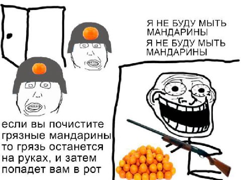 Я НЕ БУДУ МЫТЬ МАНДАРИНЫ Я НЕ БУДУ МЫТЬ МАНДАРИНЫ если вы почистите грязные мандарины то грязь останется на руках, и затем попадет вам в рот
