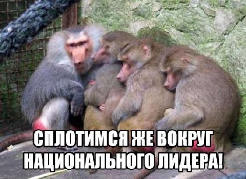 СПЛОТИМСЯ ЖЕ ВОКРУГ НАЦИОНАЛЬНОГО ЛИДЕРА!