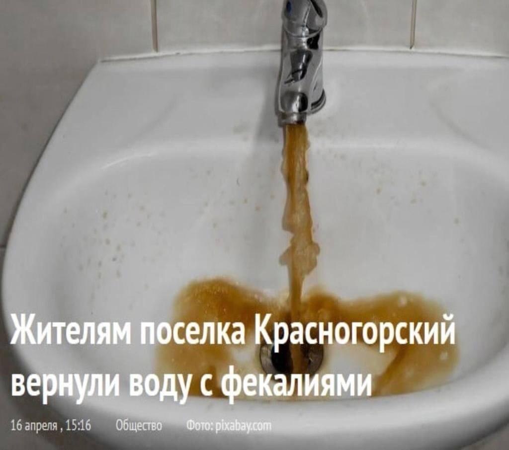Жителям поселка Красногорский вернули воду с фекалиями Общество