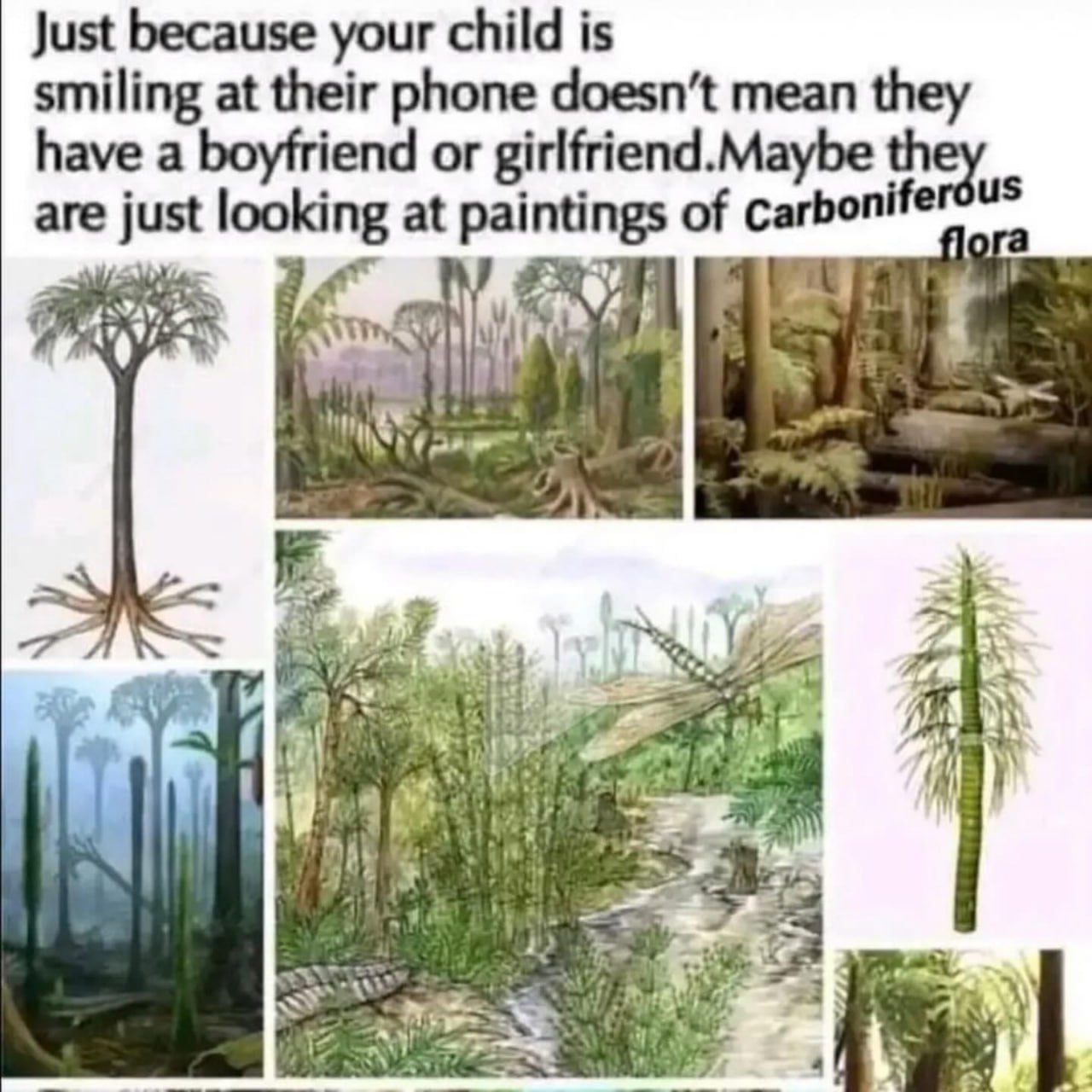 Just because your child is smiling at their phone doesn’t mean they have a boyfriend or girlfriend.Maybe are just at paintings of carbonife в if