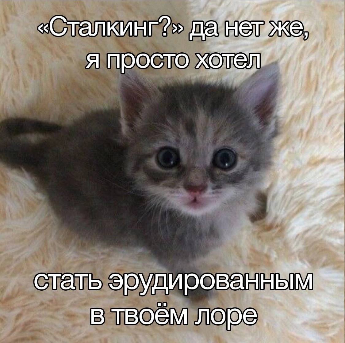 «Сталкинг?» да я просто хотёл” if if стать эрудированным в твоём nope.