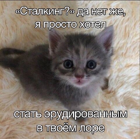 «Сталкинг?» да я просто хотёл” if if стать эрудированным в твоём nope.