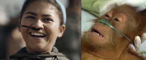 / + Oy Ам
