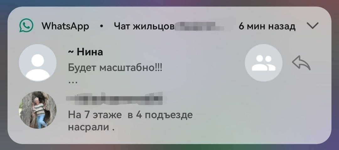 WhatsApp Чат жильцов 6 мин назад Нина Будет На 7 этаже в 4 подъезде
