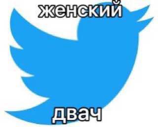 женский двач