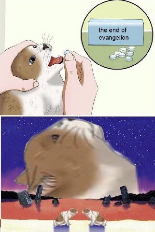 the end of evangelion <a