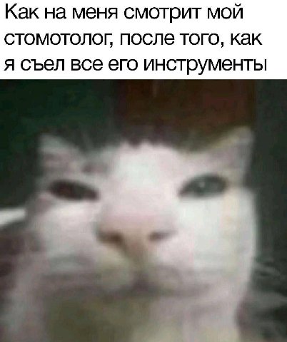 Как на меня смотрит мой стомотолог, после того, как я съел все его инструменты a?