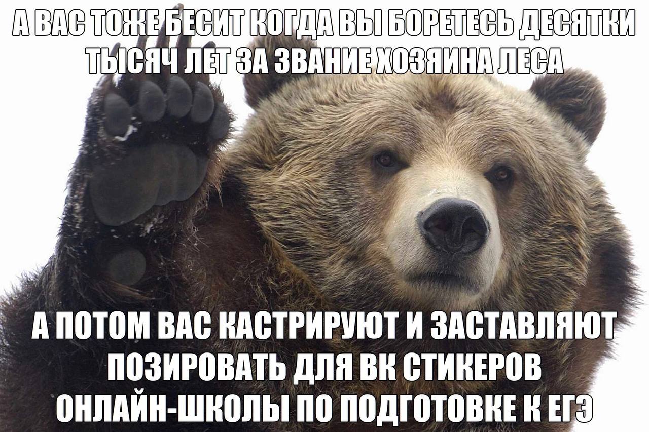 ЗВАНИЕ 7 AS, a АПОТОМ BAC КАСТРИРУЮТ И ЗАСТАВЛЯЮТ 2 ПОЗИРОВАТЬ ДЛЯ СТИКЕРОВ ОНЛАИН-ШКОЛЬ ПО К