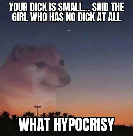 YOUR DICK IS SMALL... SAID THE GIRL WHO HAS NO DICK AT ALL WHAT HYPOCRISY