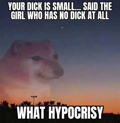 YOUR DICK IS SMALL... SAID THE GIRL WHO HAS NO DICK AT ALL WHAT HYPOCRISY