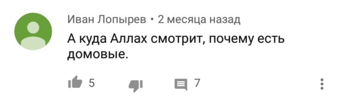 Иван Лопырев 2 месяца назад a А куда Аллах смотрит, почему есть домовые. 5