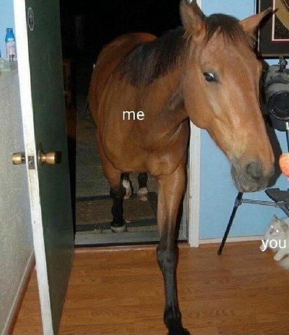 you