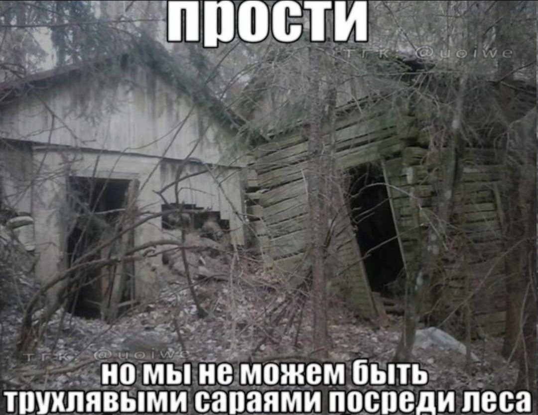 прости трухлявыми сараями посреди леса но мы не можем быть