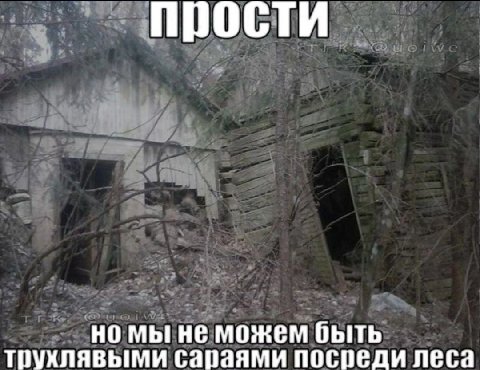 прости трухлявыми сараями посреди леса но мы не можем быть