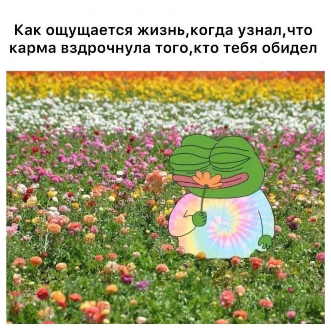 Как ощущается жизнь, когда узнал, что карма вздрочнула того,кто тебя обидел 1 4
