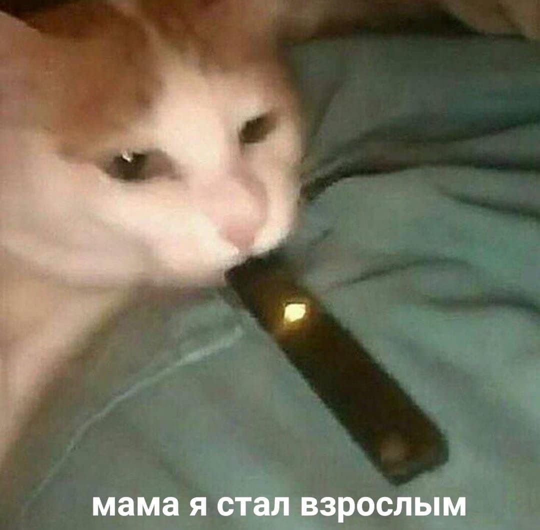 мама я стал взрослым