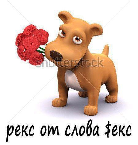 рекс
