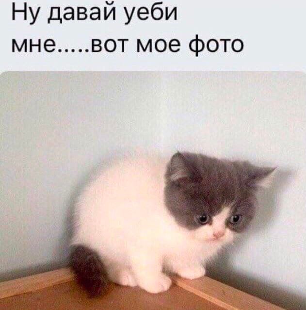Ну давай уеби мне вот мое фото