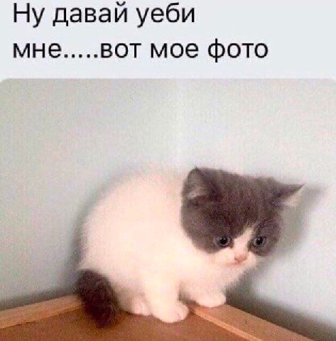 Ну давай уеби мне вот мое фото