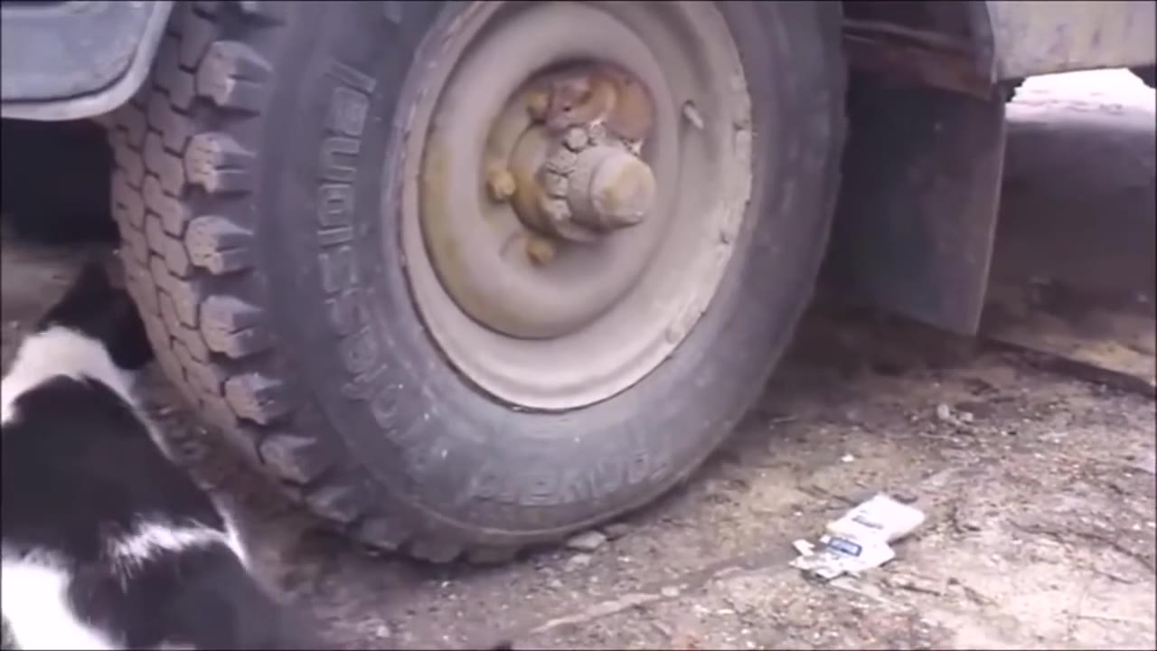 I a у