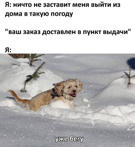 Я: ничто не заставит меня выйти из дома в такую погоду "ваш заказ доставлен в пункт выдачи" Я: за 2 ужебегу