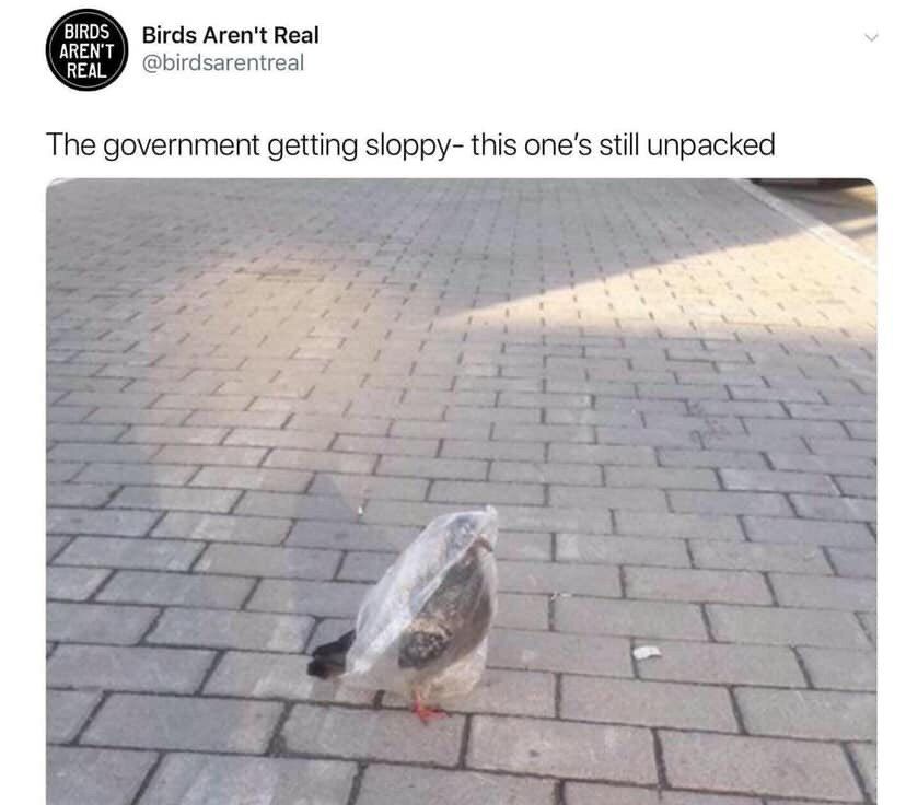 BIRDS AREN'T Birds Aren't Real REAL @birdsarentreal The government getting sloppy- this one’s still unoacked