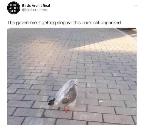 BIRDS AREN'T Birds Aren't Real REAL @birdsarentreal The government getting sloppy- this one’s still unoacked