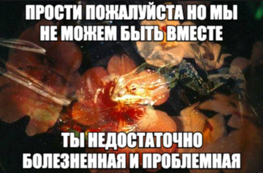 ПРОСТИ ПОЖАЛУЙСТА НО МЫ НЕМОЖЕМ БЫТЬ ВМЕСТЕ 4 ТЫ НЕДОСТАТОЧНО БОЛЕЗНЕННАЯ И ПРОБЛЕМНАЯ