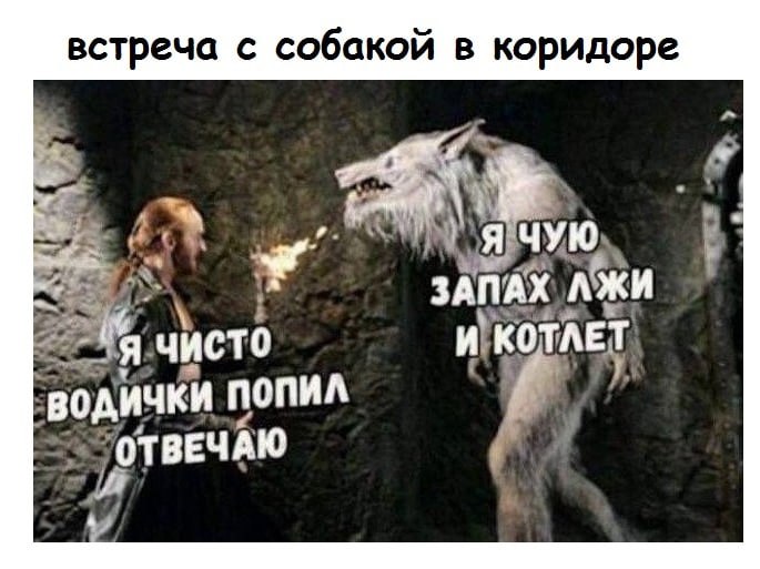 встреча с собакой в коридоре Я ЧУЮ, a чисто попил