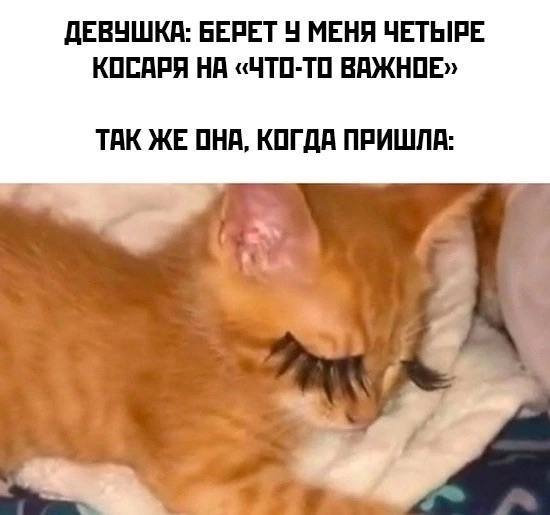 ДЕВУШКА: БЕРЕТ МЕНЯ ЧЕТЫРЕ КОСАРЯ НА «ЧТО-ТО ВАЖНОЕ» ТАК ЖЕ ОНА, КОГДА ПРИШЛА: