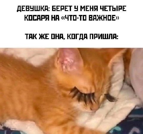 ДЕВУШКА: БЕРЕТ МЕНЯ ЧЕТЫРЕ КОСАРЯ НА «ЧТО-ТО ВАЖНОЕ» ТАК ЖЕ ОНА, КОГДА ПРИШЛА: