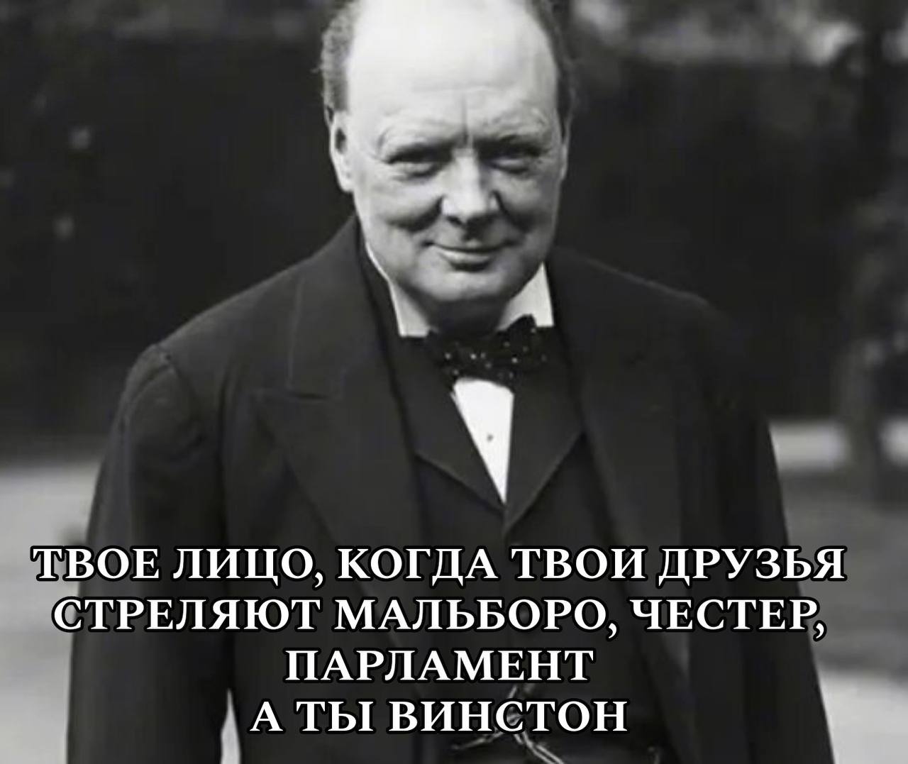 ТВОЕ ЛИЦО, КОГДА ТВОИ ДРУЗЬЯ СТРЕЛЯЮТ МАЛЬБОРО, ЧЕСТЕР, ПАРЛАМЕНТ АТЫ ВИНСТОН