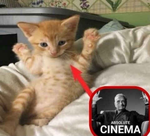 ABSOLUTE CINEMA