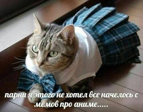 парни яэтого не хотел все начелось с про аниме