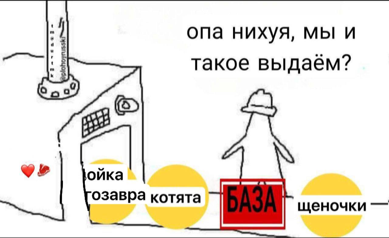 опа нихуя, мы и такое выдаём? 9» ойка озавра котята щеночки