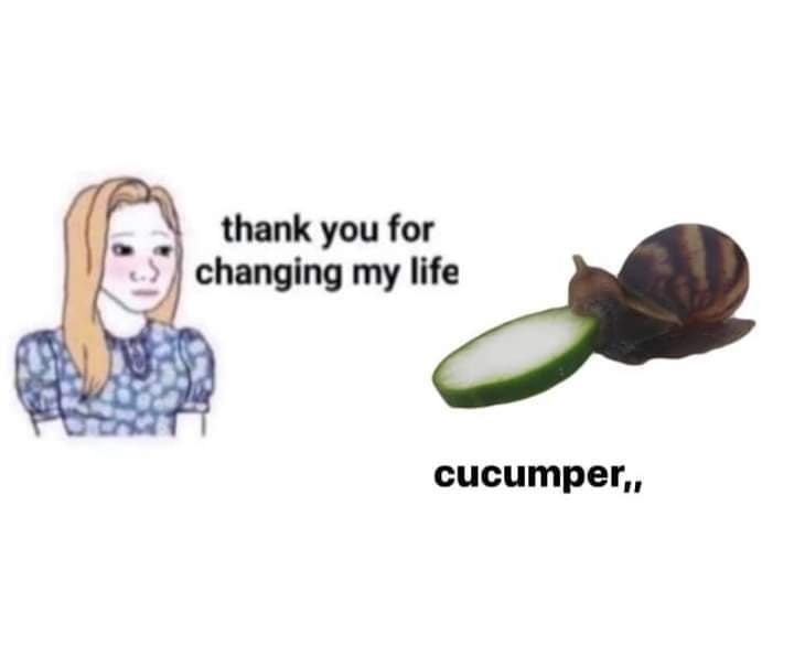thank you for changing my life cucumper,,