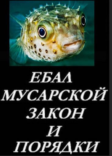 МУСАРСКОП ЗАКОН И ПОРЯДКИ