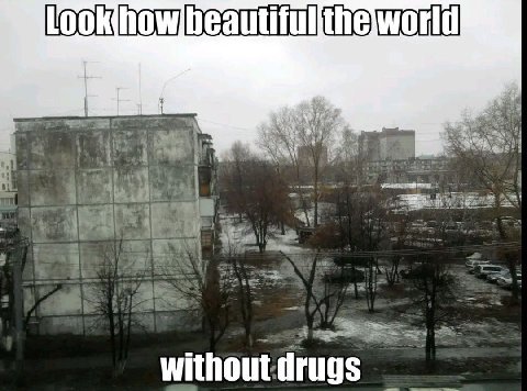 he without: drugs