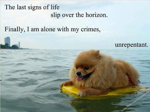 The last signs of life slip over the horizon Finally, I alone with my crimes, unrepentant.