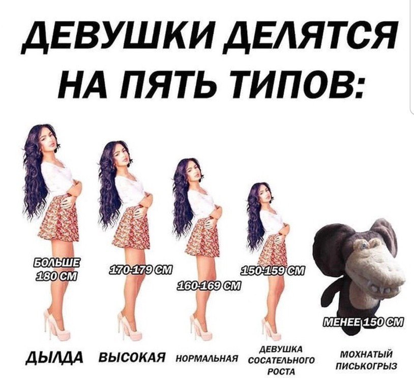 ДЕВУШКИ ДЕЛЯТСЯ НА ПЯТЬ ТИПОВ: LUE: #1 ДЕВУШКА ВЫСОКАЯ МОХНАТЫЙ РОСТА ПИСЬКОГРЫЗ