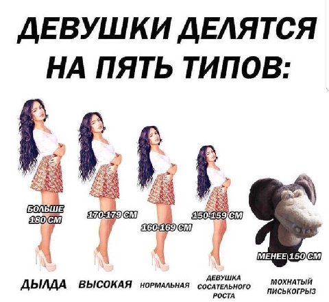 ДЕВУШКИ ДЕЛЯТСЯ НА ПЯТЬ ТИПОВ: LUE: #1 ДЕВУШКА ВЫСОКАЯ МОХНАТЫЙ РОСТА ПИСЬКОГРЫЗ