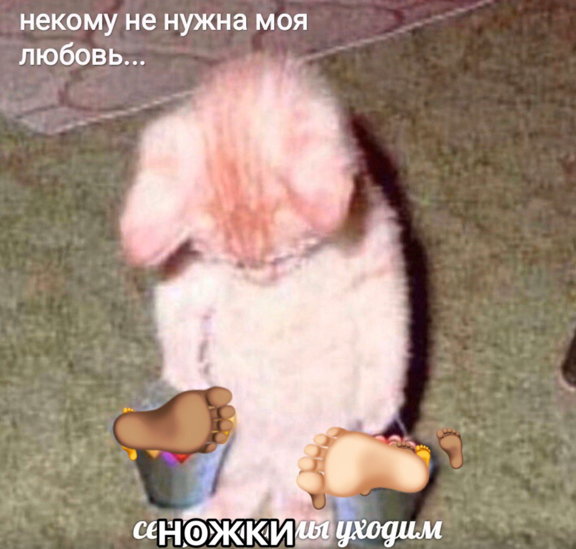 когда за минуту не прибавилось подписчеков