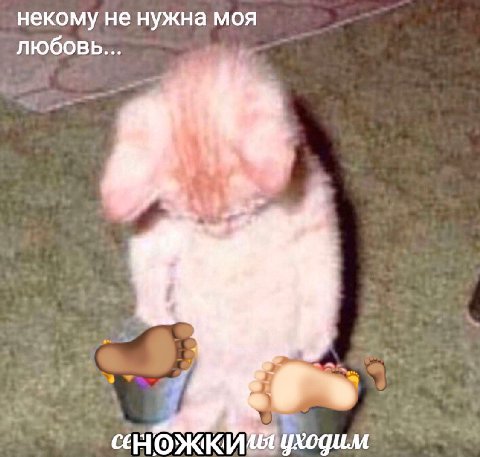 когда за минуту не прибавилось подписчеков